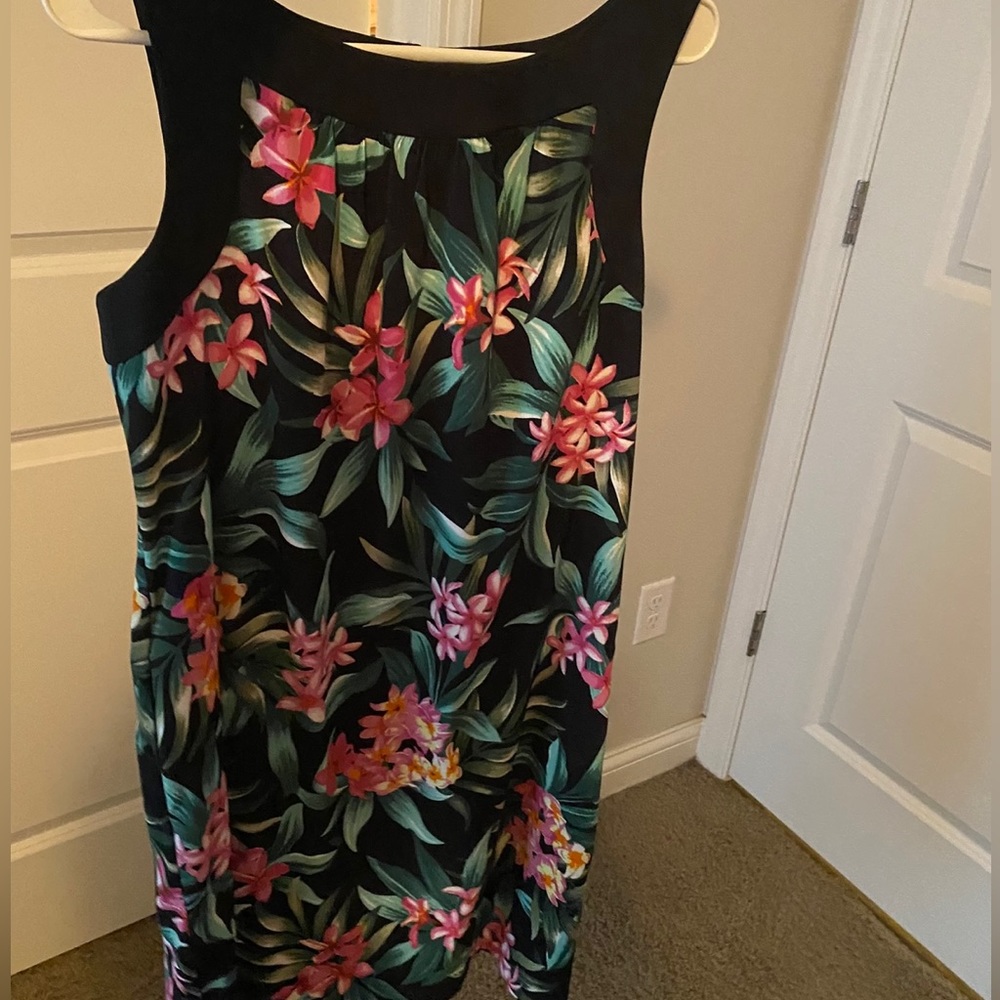 Women’s AB Studio Dress